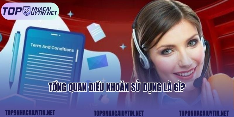 Tổng quan điều khoản sử dụng là gì?