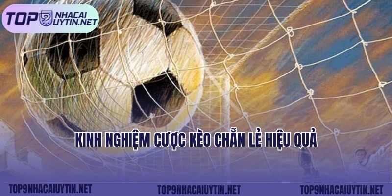 Kinh nghiệm cược kèo chẵn lẻ hiệu quả