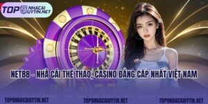 Net88 - Nhà Cái Thể Thao, Casino Đẳng Cấp Nhất Việt Nam